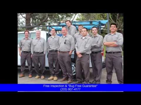 exterminator-darien-ct:-pest-control-in-fairfield-that's-make-you-fall-in-love!