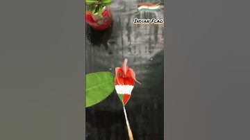 Beautiful Indian flag 🇮🇳 flag of india 🌹 #shorts #indian flag art #youtube shorts #viral