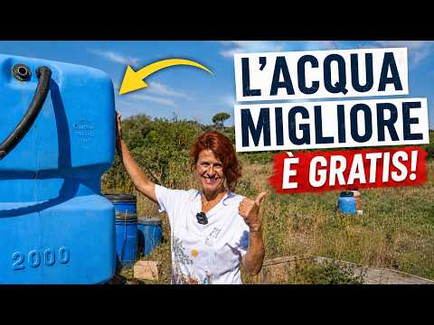 L'ACQUA MIGLIORE per l'ORTO. 6 sistemi per raccoglierla 💧