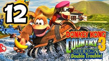 Donkey Kong Country 3: Dixie Kong