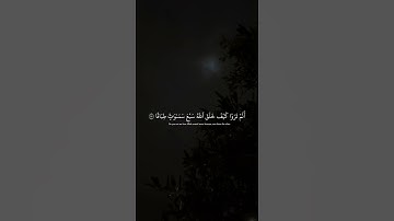 سورة نوح الآيات من (١٣) إلى (١٦)