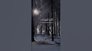 قران كريم تلاوه راحه نفسيه | #ياسر_الدوسري #تلاوة_خاشعة #راحة_نفسية #اكسبلور #لايك #duet
