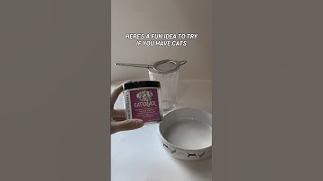 Catnip tea for your cat 🐈‍⬛ #catshorts #cat #catvideos #mycat #yourcat #funnycats #catlover #kitty