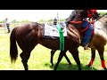 Semifinal Futurity Texano/Chicotito C.La Estrella