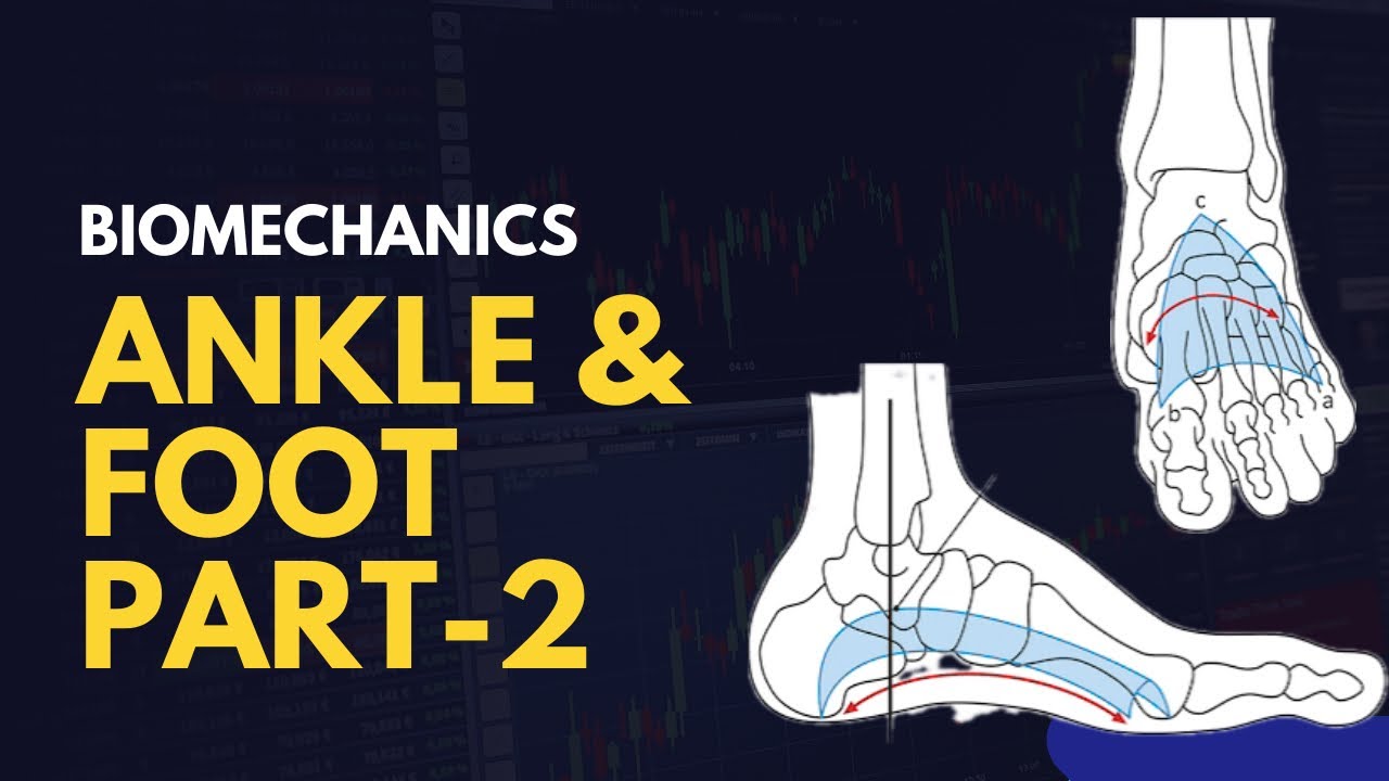 The Hidden Truth About Ankle BIOMECHANICS Nobody Tells You