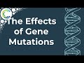 The Impact of Genetic Mutations on Protein Function and Organism Survival