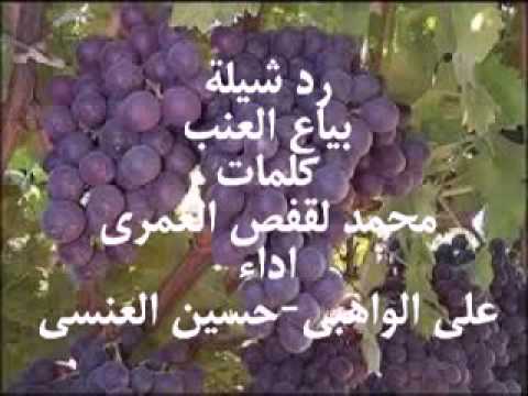 شيله راعي العنب ماجاني شكله ياسعد زعلاني