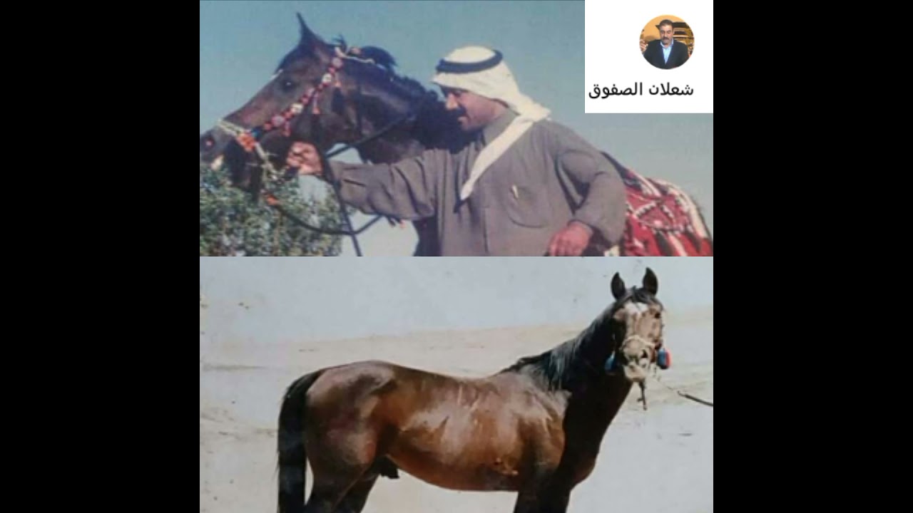 ٢٠ نوفمبر، ٢٠٢١