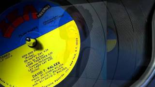 David T. Walker - Plum Happy [LP] – Morpho Records