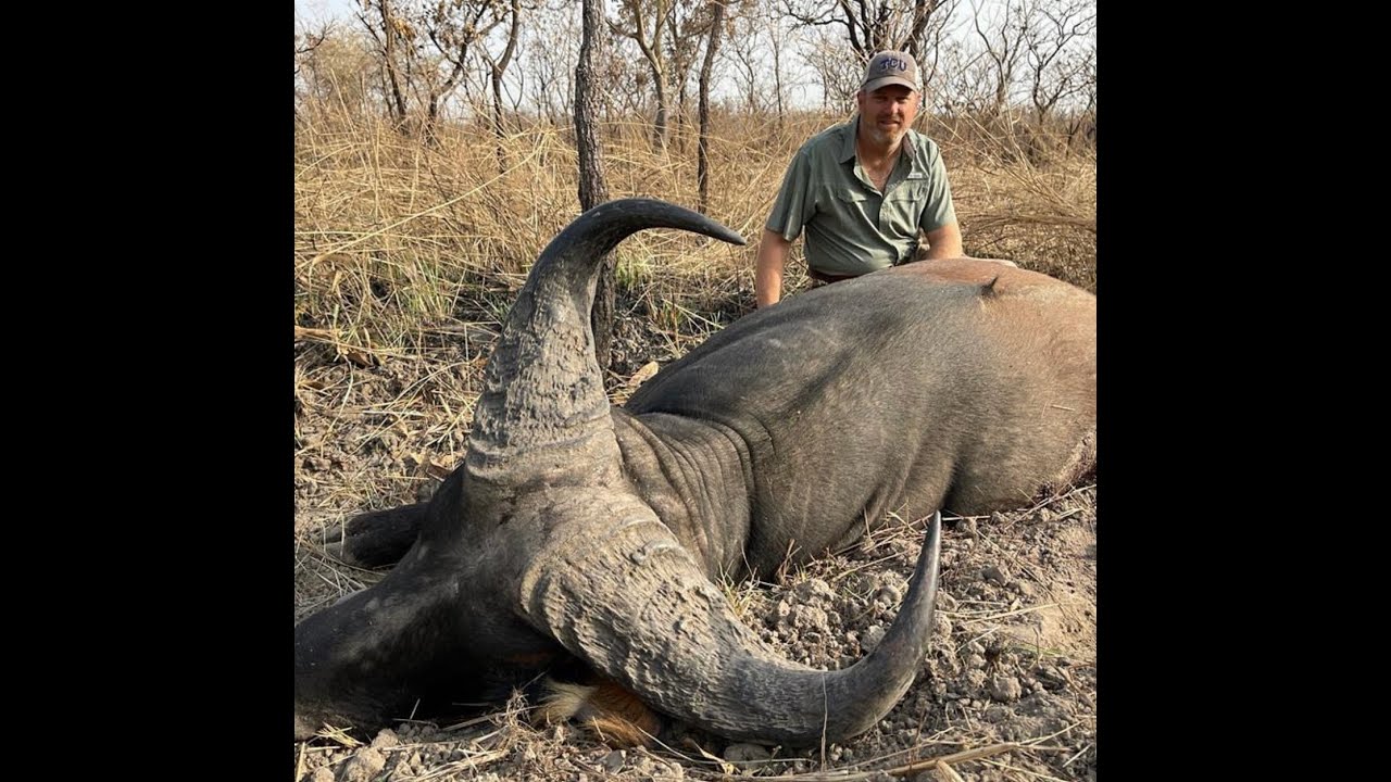 Highlights - Cameroon Savannah - Hickey 2022