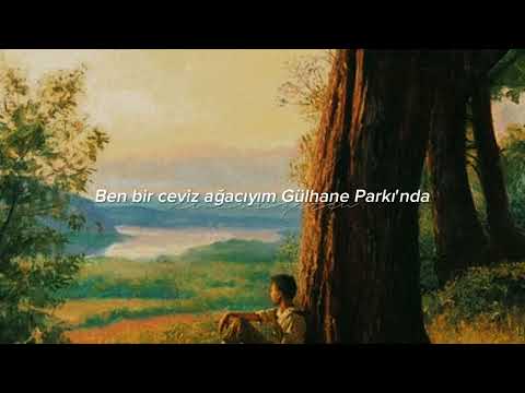 Cem Karaca - Ceviz Ağacı (Lyrics - Sözleri)