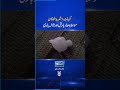 Heavy Rain In Kohat #kohat #heavyrainfall #sunonewshd