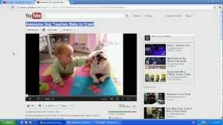 Re: Awesome Dog Teaches Baby to Crawl