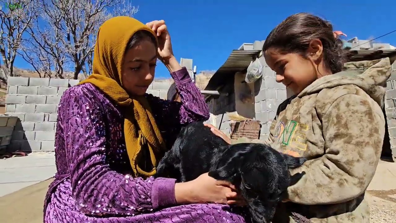 ۲۶ فوریهٔ ۲۰۲۶