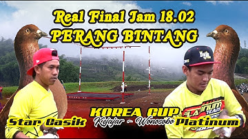 BABAK PERANG BINTANG SAMPAI FINAL KOREA WONOSOBO #merpatioleng #merpati #merpatikolong #shorts