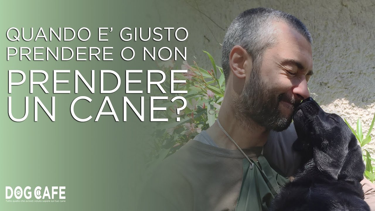 Quando è giusto prendere o non prendere un cane?