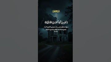 سورة القصص | قرأن كريم #قرآن #اكسبلور #المصحف