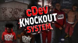 Realism Knockout / Fighting System | FiveM Script