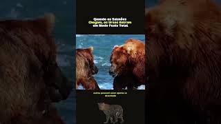 #animaisnarrados #animals #vidaanimal