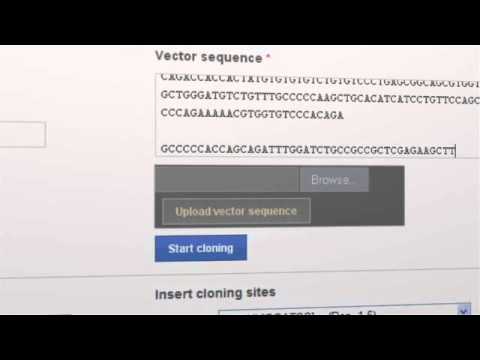 GeneArt® Subcloning Service - Order form (tutorial)