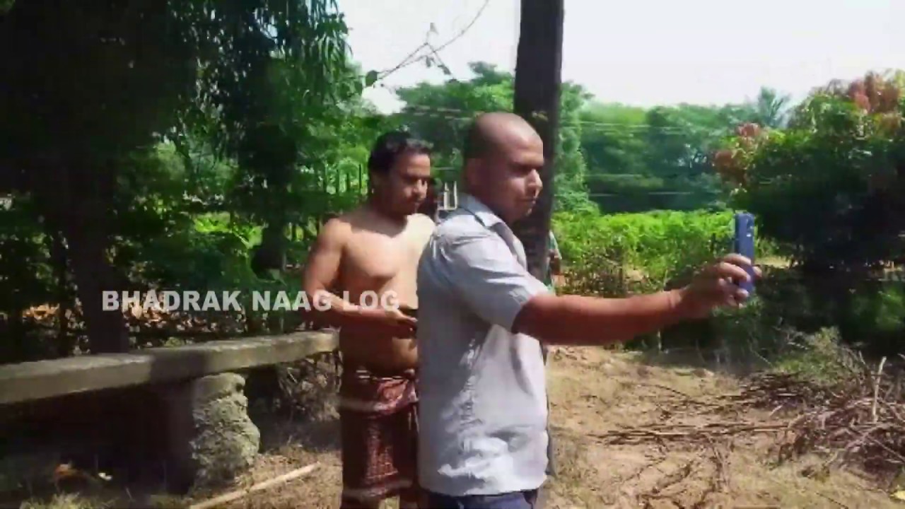  Cobra Snake Rescue At- Bhandaripokhari, Bhadrak