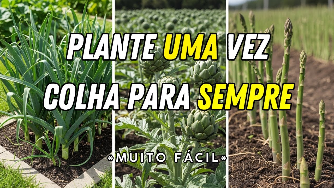 Plante estas 15 plantas perenes uma vez e colha para sempre!