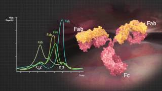 MicroCal DSC – Manufacturing and Process Development