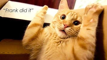 NAV TechDays 2016: Bad habits of NAV Developers