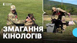 У Мукачеві відбулися всеукраїнські змагання кінологів