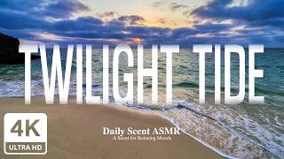 [ASMR]Twilight Tide 🌅 | 1 Hour of Peaceful Ocean Wave Ambience