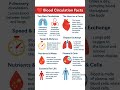 Amazing Blood Circulation Facts You Didn’t Know! 🩸💓 #BloodCirculation #HumanBodyFacts #AmazingFacts