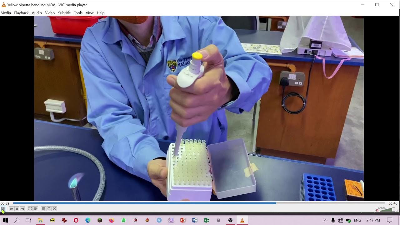 Microbiological techniques How to handle a yellow micropipette (20