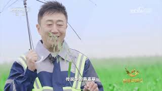 中国乳业的全产业链革命 《对话·创新中国行》 20250914 |  财经风云