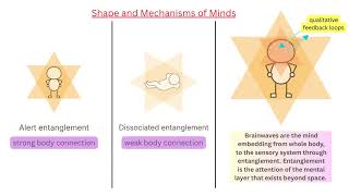 Presentation on the Shape of Mind