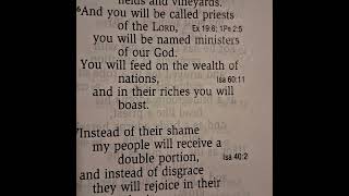 Bible book Isaiah 61-1-11