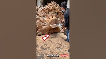 #diy Sáng tạo sản phẩm từ gốc cây độc đáo #woodworking #woodwork #short #dogo #dieukhacgo #art