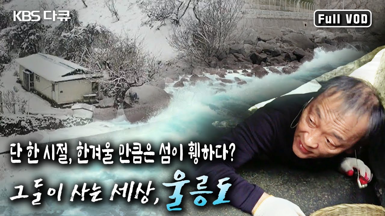 겨울 지나 봄으로 가는 길목에서 울릉도를 떠나는 사람과 지키는 사람, 돌아온 사람들! 그들이 사는 세상, 울릉도 (KBS 20190324 방송)