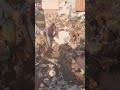 The real secret of international junk | where is the biggest profit?