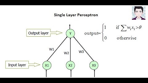 What is a Perceptron Learning Algorithm - Step By Step Clearly Explained using Python