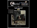 احب محتوى الغلاف💞🗿#سيلينا_سيلينز#shorts#foryou#explore #fyp#fypシ##like #music #blackpink#song #kpop