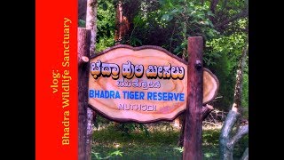Drive Through Bhadra Tiger Reserve Chikmagalur Vlog 