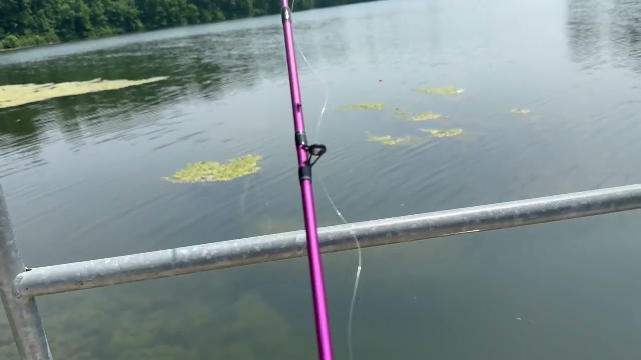 Fishing at lake Meyer part 2