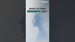 What is your Epigenetic age?