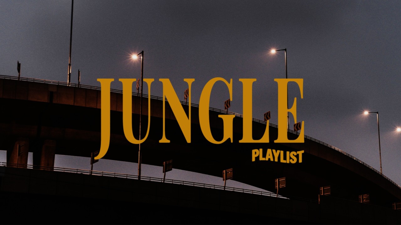 내가 책 읽을 때 들으려고 했던 정글 (Jungle)의 음악들 | 𝒑𝒍𝒂𝒚𝒍𝒊𝒔𝒕 | 예스24