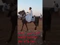 غزالة جاتك