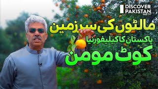Explore City of Citrus & Pakistan's California | Kot Momin | Dekho Pakistan With Amin Hafeez