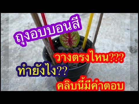ผลสลากกินแบ่งรัฐบาล วันที่ 1 พย. 2567 ผลสลากกินแบ่งรัฐบาล วันที่ 1 พย. 2567