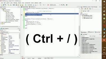 Comments in Delphi - Delphi Tutorial (Part 3)