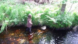 Emily trying to catch a frog by Tania Deviller 826 views 10 years ago 45 seconds