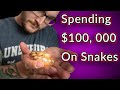 Spending THOUSANDS On Reptiles | How Much Does Keeping 100 Reptiles Actually Cost?